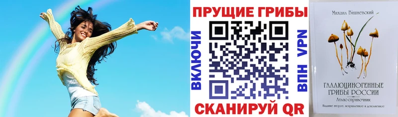 Псилоцибиновые грибы GOLDEN TEACHER  даркнет сайт  Калтан 