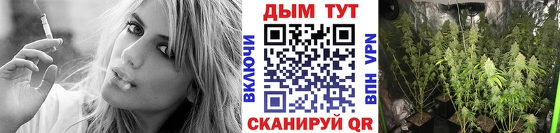 купить наркотик  Калтан  Бошки марихуана план 